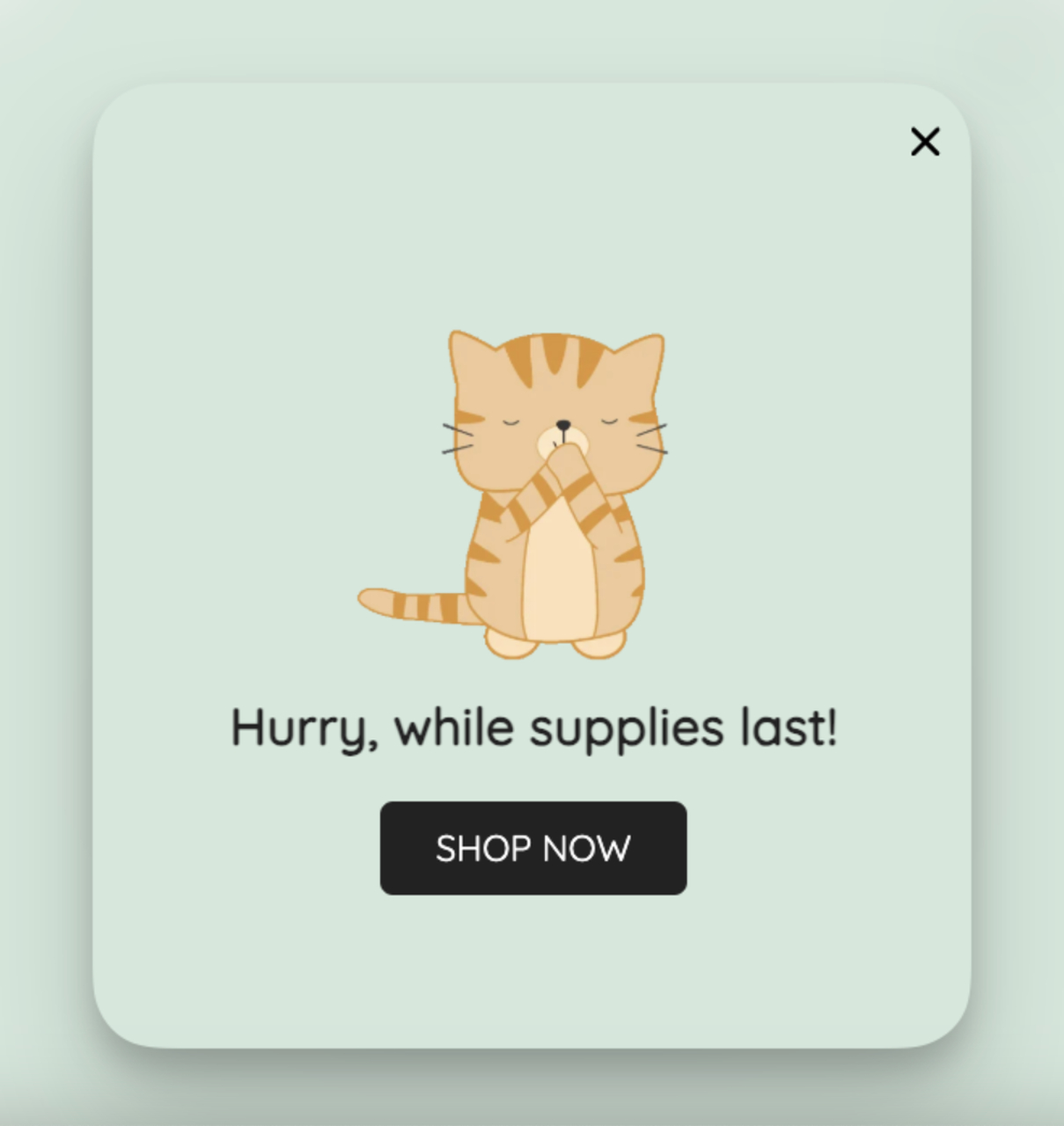 While supplies last popup example built in Popupsmart with a countdown timer and limited stock message
