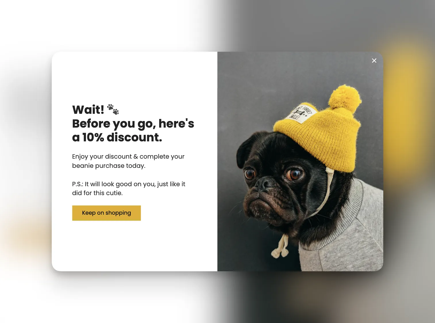 Persuasive words that sell on Popupsmart popup