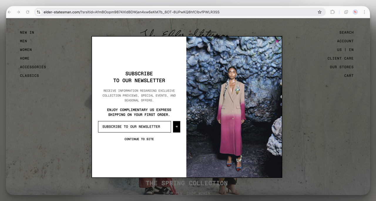 13. Elder Statesman Newsletter Popup (Overlay)