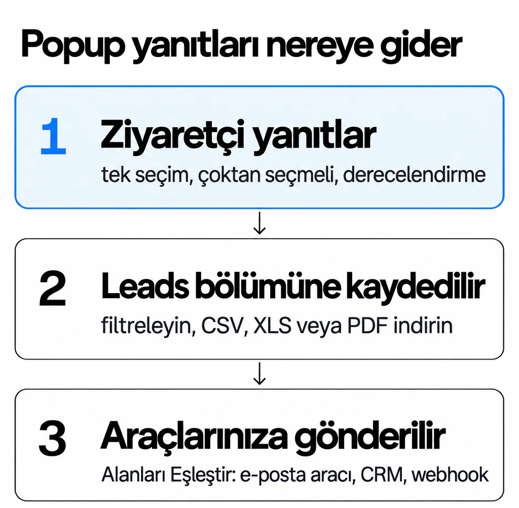 Popup yanıtları Popupsmart'ın Leads bölümüne kaydedilir, sonra Alanları Eşleştir ile e-posta aracına, CRM'e veya webhook'a gönderilir